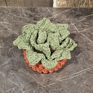 Crochet Succulent Coasters [Set of 4]